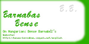 barnabas bense business card